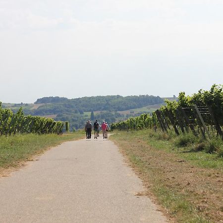 Ferienwohnung Familie Seuferle Schweigen-Rechtenbach Buitenkant foto