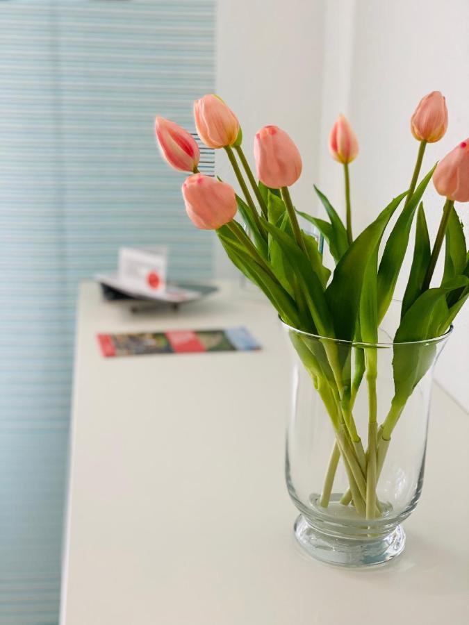 Ferienwohnung Familie Seuferle Schweigen-Rechtenbach Buitenkant foto